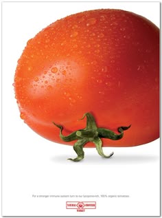 海报图片素材：免费资源的使用禁忌？